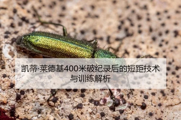 凯蒂·莱德基400米破纪录后的短距技术与训练解析